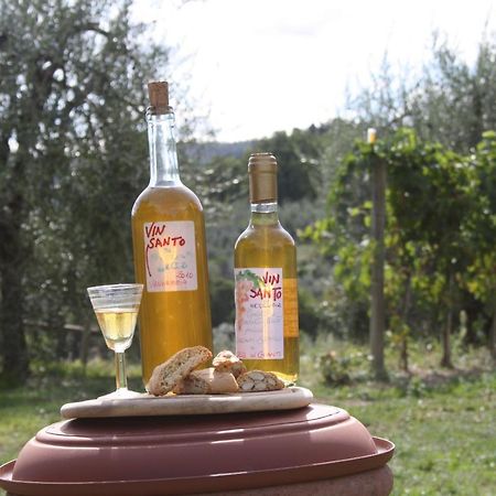 Agriturismo Podere Somigli Di Lorenzo Correani Hotell Greve in Chianti Eksteriør bilde