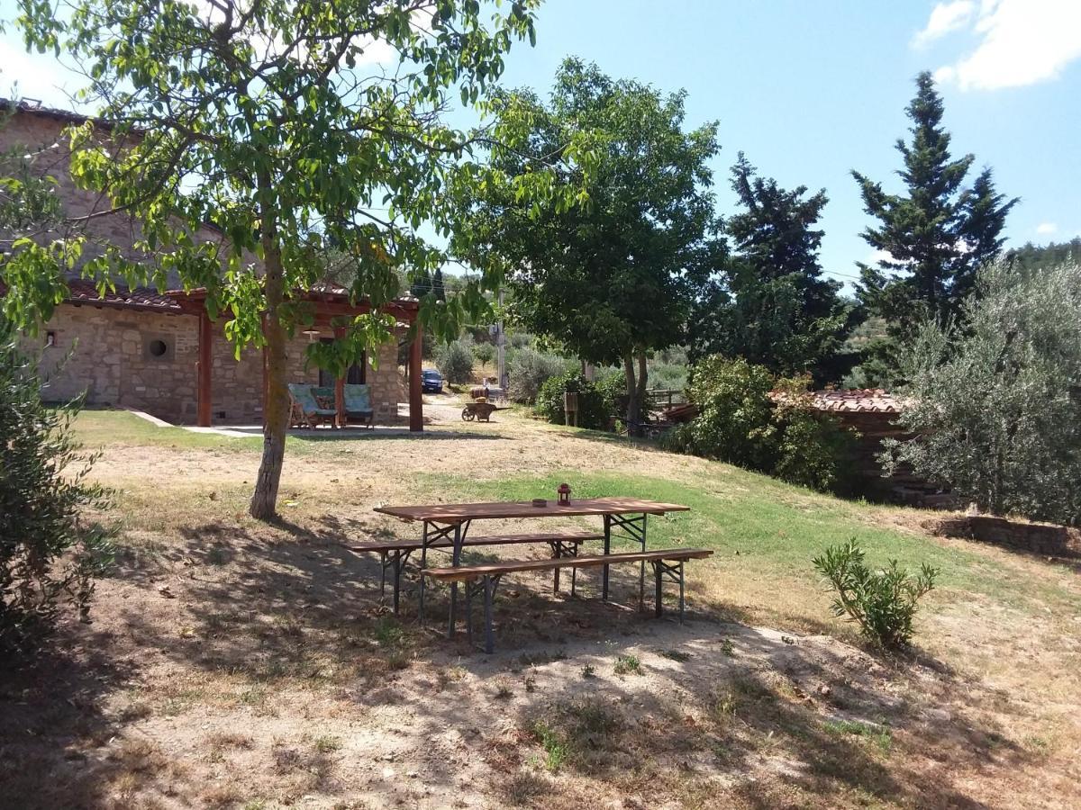 Agriturismo Podere Somigli Di Lorenzo Correani Hotell Greve in Chianti Eksteriør bilde