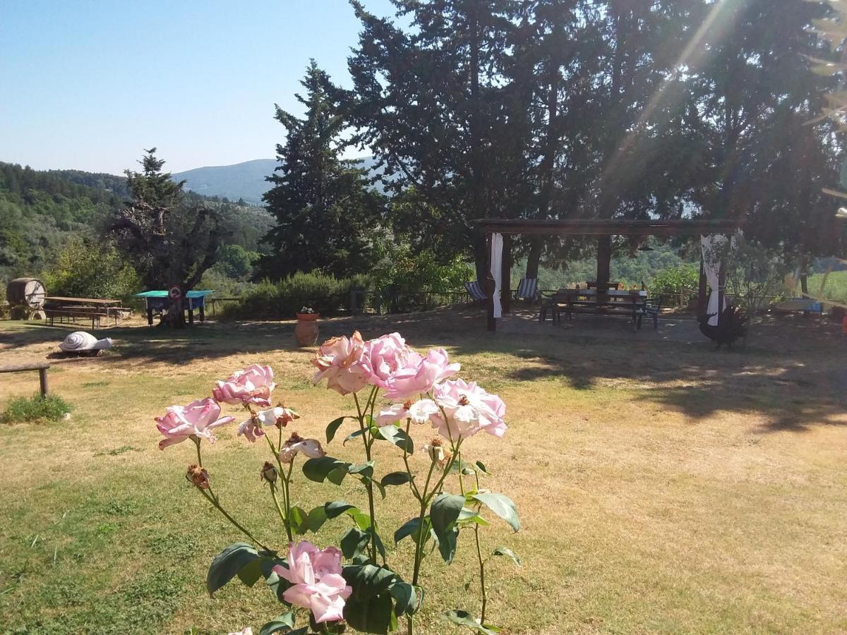 Agriturismo Podere Somigli Di Lorenzo Correani Hotell Greve in Chianti Eksteriør bilde